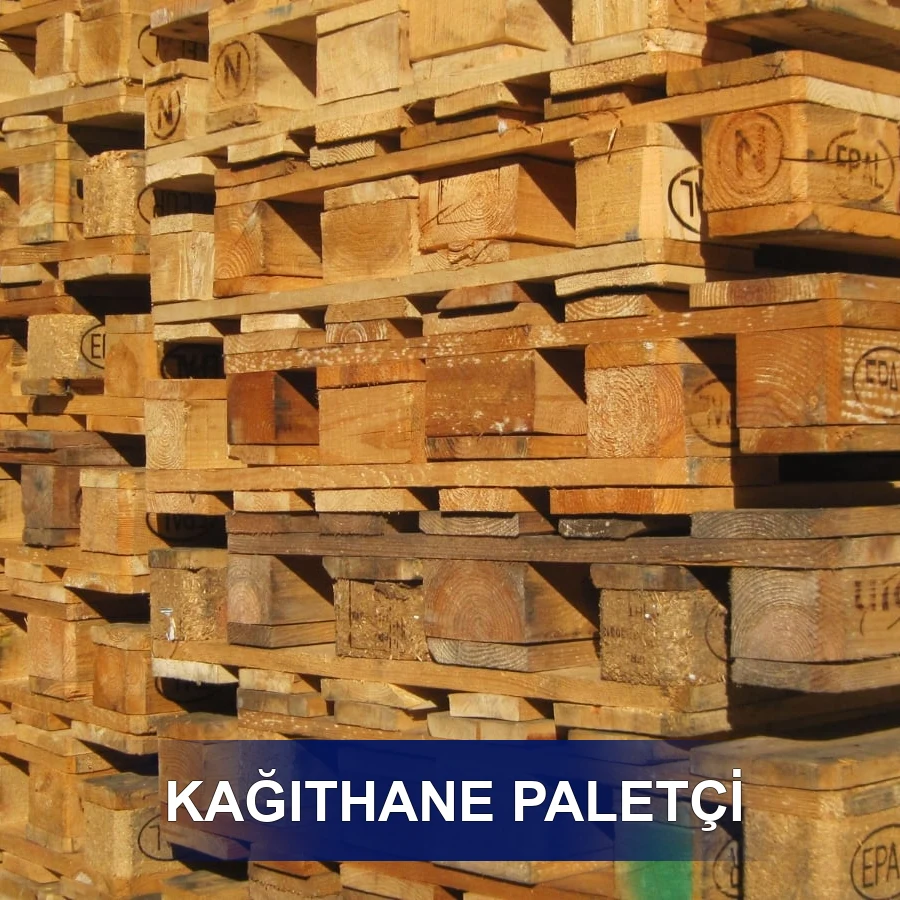 Kağıthane Paletçi